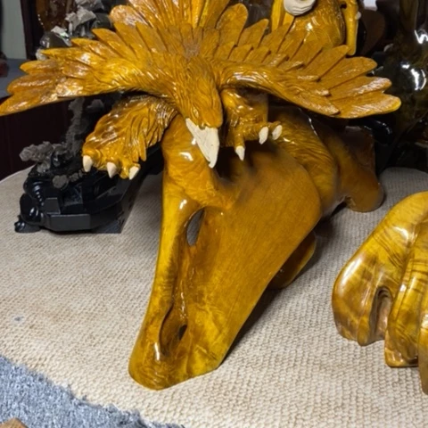 金丝楠大展宏图的