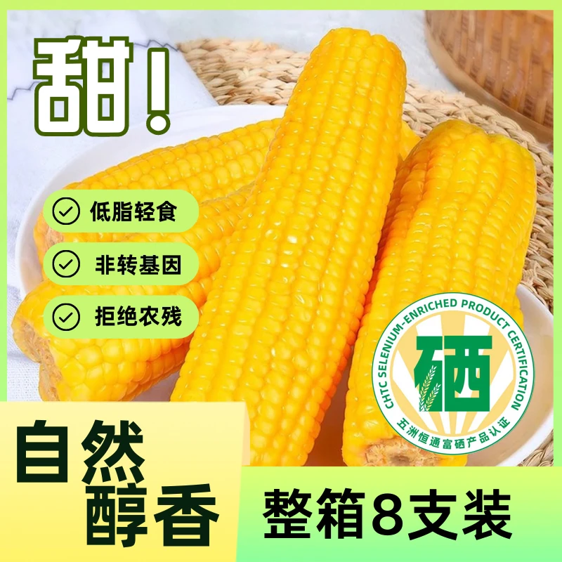【赵麻麻专属】长白山 富硒玉米  黄 黑   富硒品质 营养健康