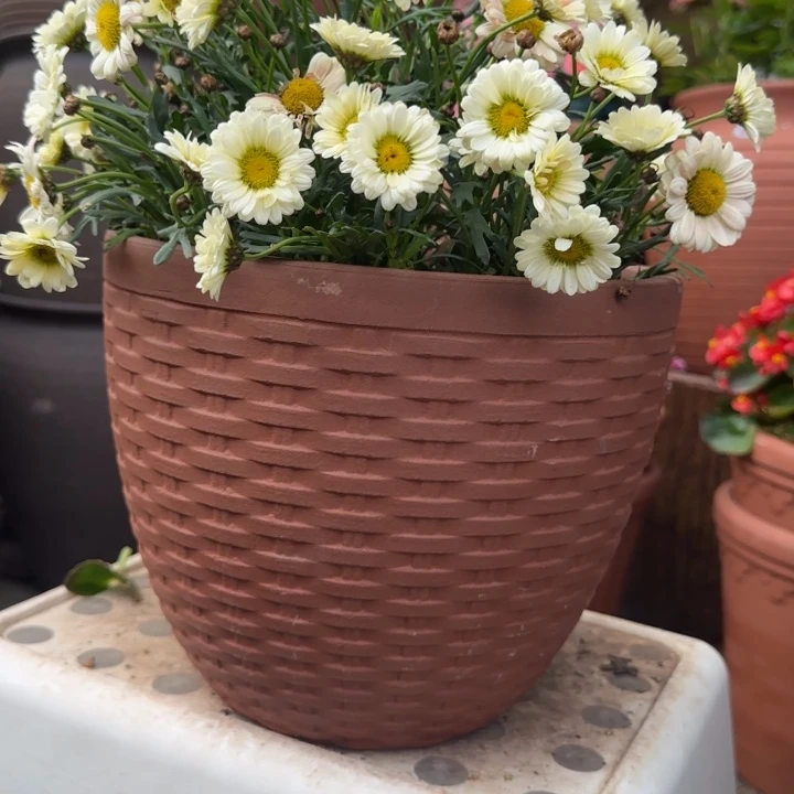 紫砂花盆口24高20宜兴紫砂