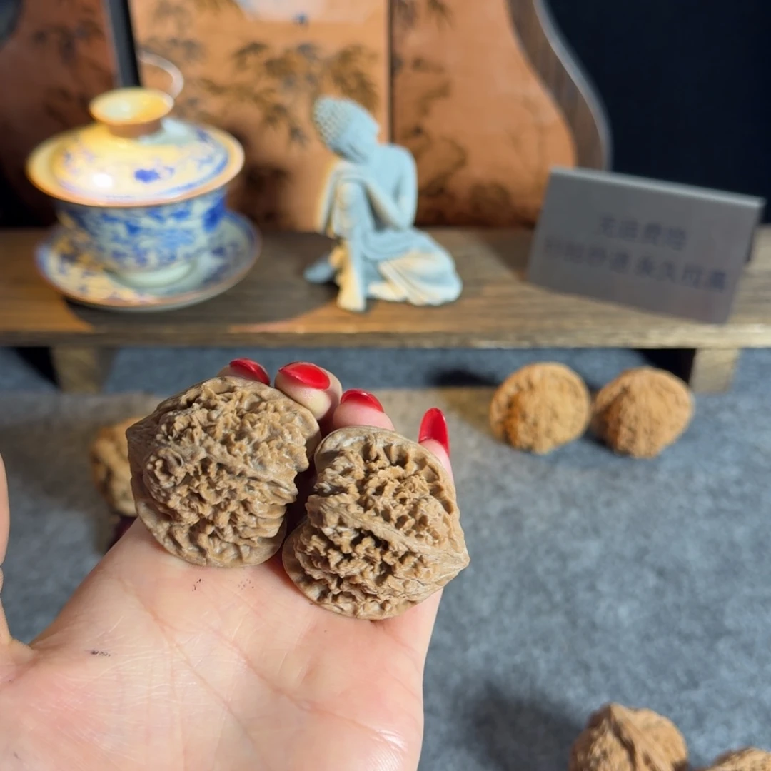 全品红皮41白茬满天星