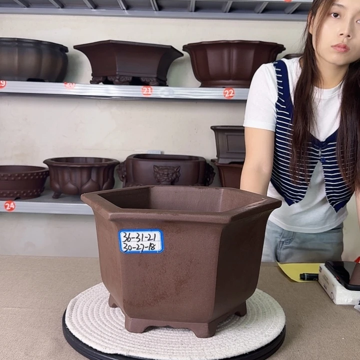 紫砂花盆紫砂花开