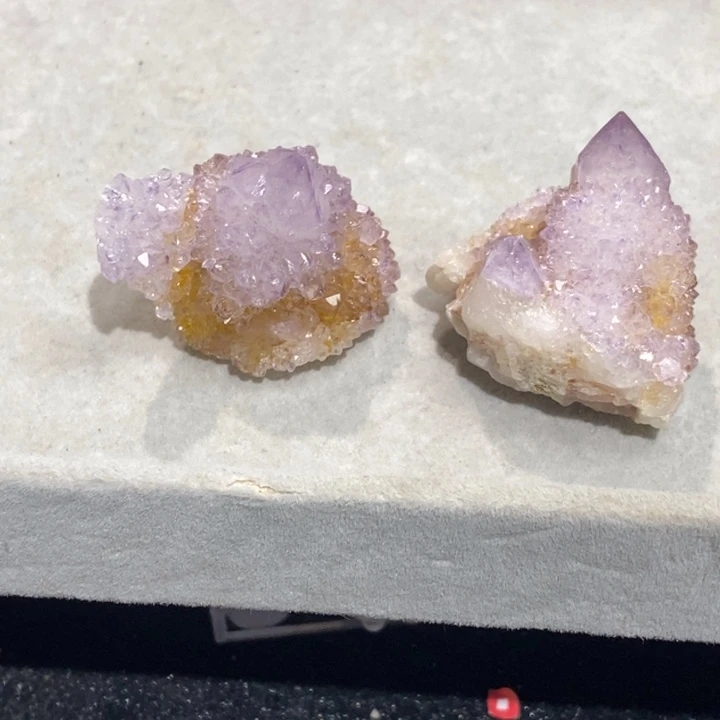 第***至石材南非精神水仙人掌