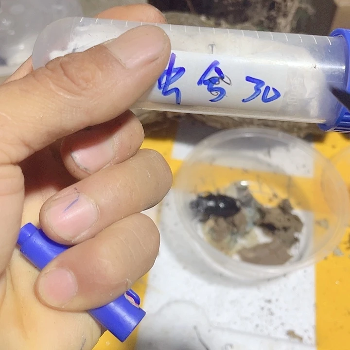 回来咯哦季节咯哦哦