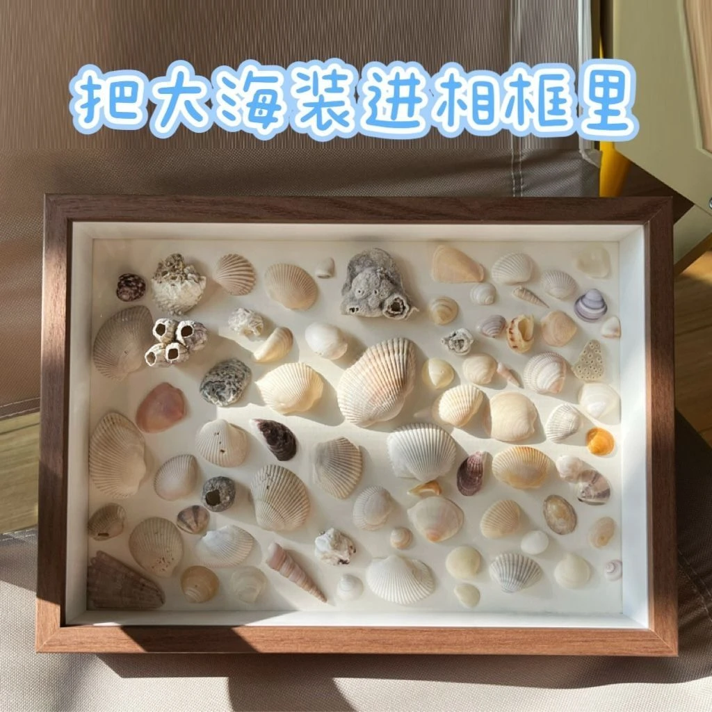 立体中空相框标本框diy手工摆台海边贝壳海螺干花展示画相框干花