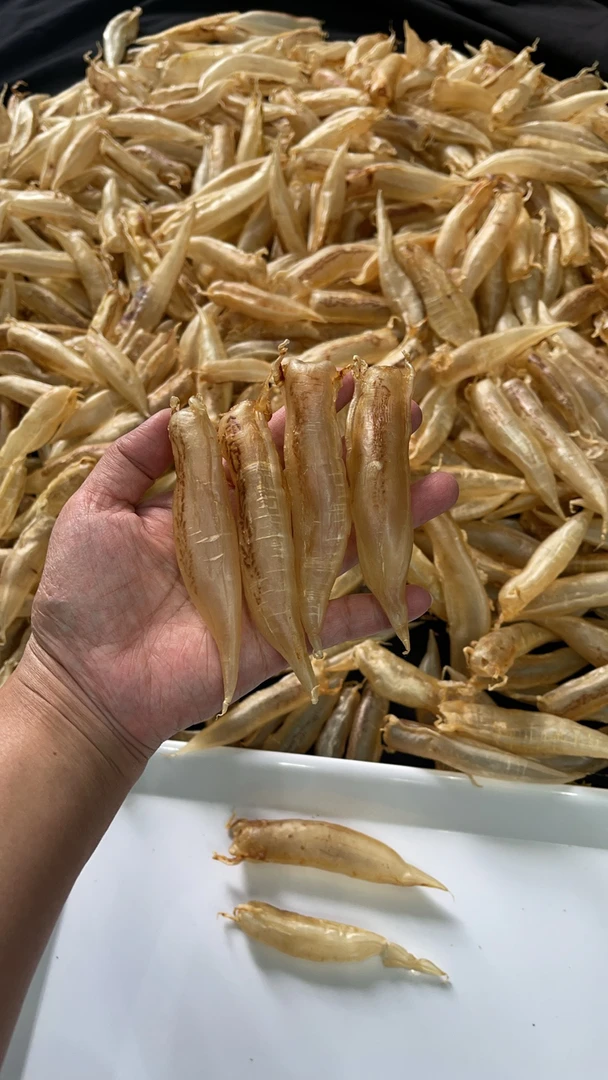【忠盛滋补品】广东汕头南澳北海胶