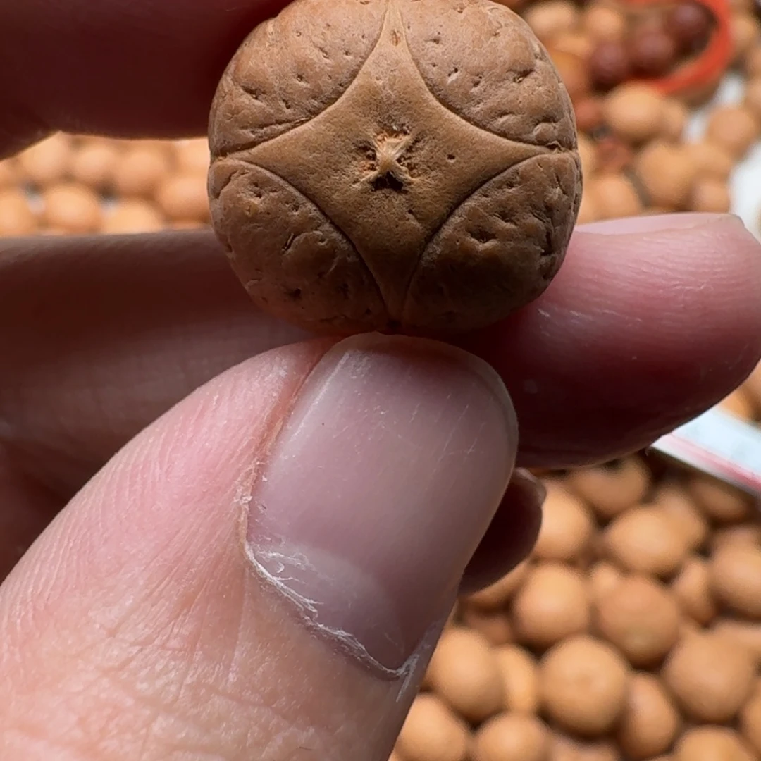 马***炸吊坠凤眼菩提凤眼菩提