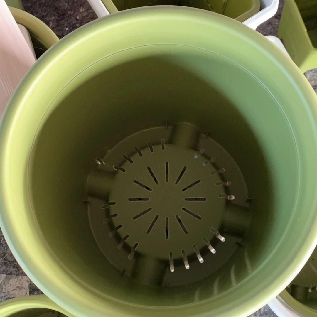 树脂4个32口果绿无托