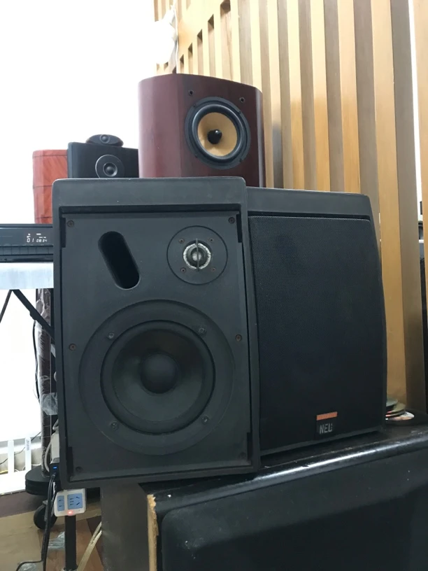 9新  NEL 5.5挂壁 高音不响