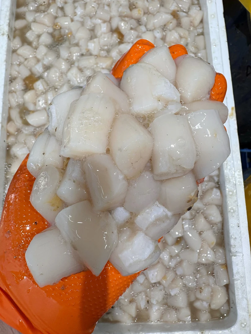 原浆手扒大扇贝丁鲜嫩美味顺丰发货3斤