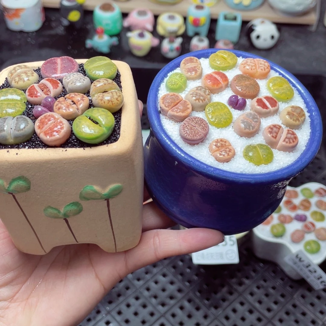 w3240 带盆土发货-零下地区拍保温箱