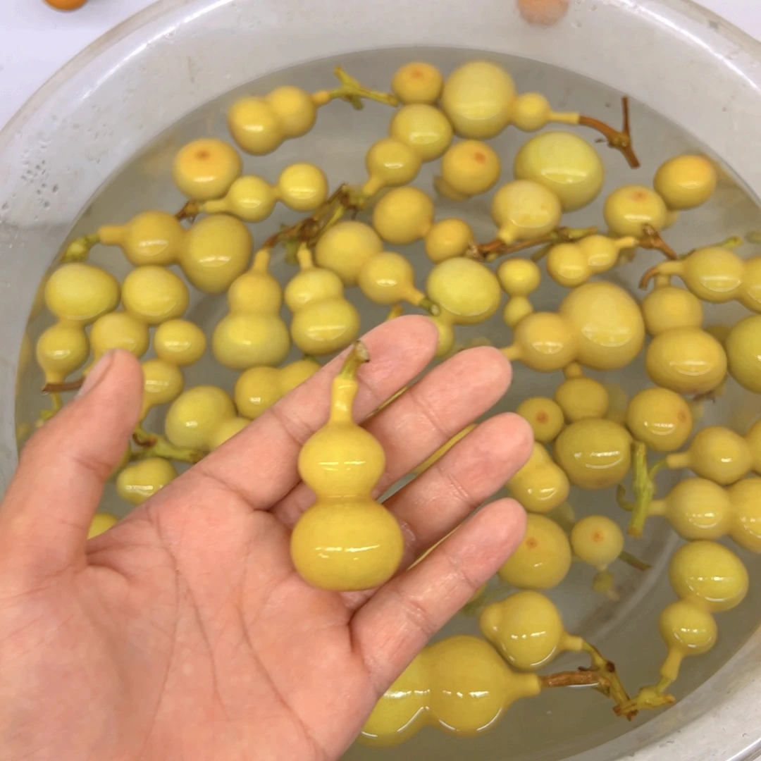 庄***静天津嘴儿葫芦葫芦