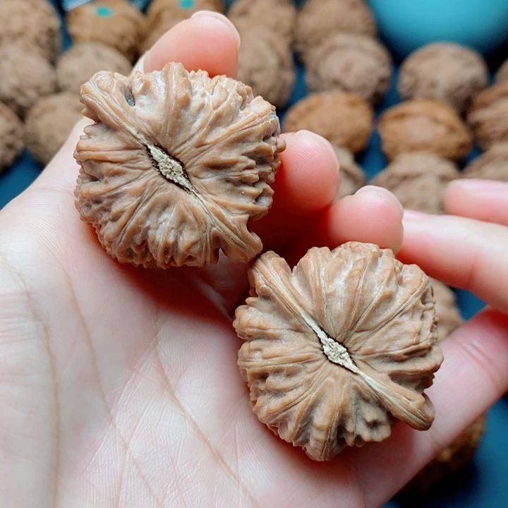 文玩核桃把件白狮子39全品