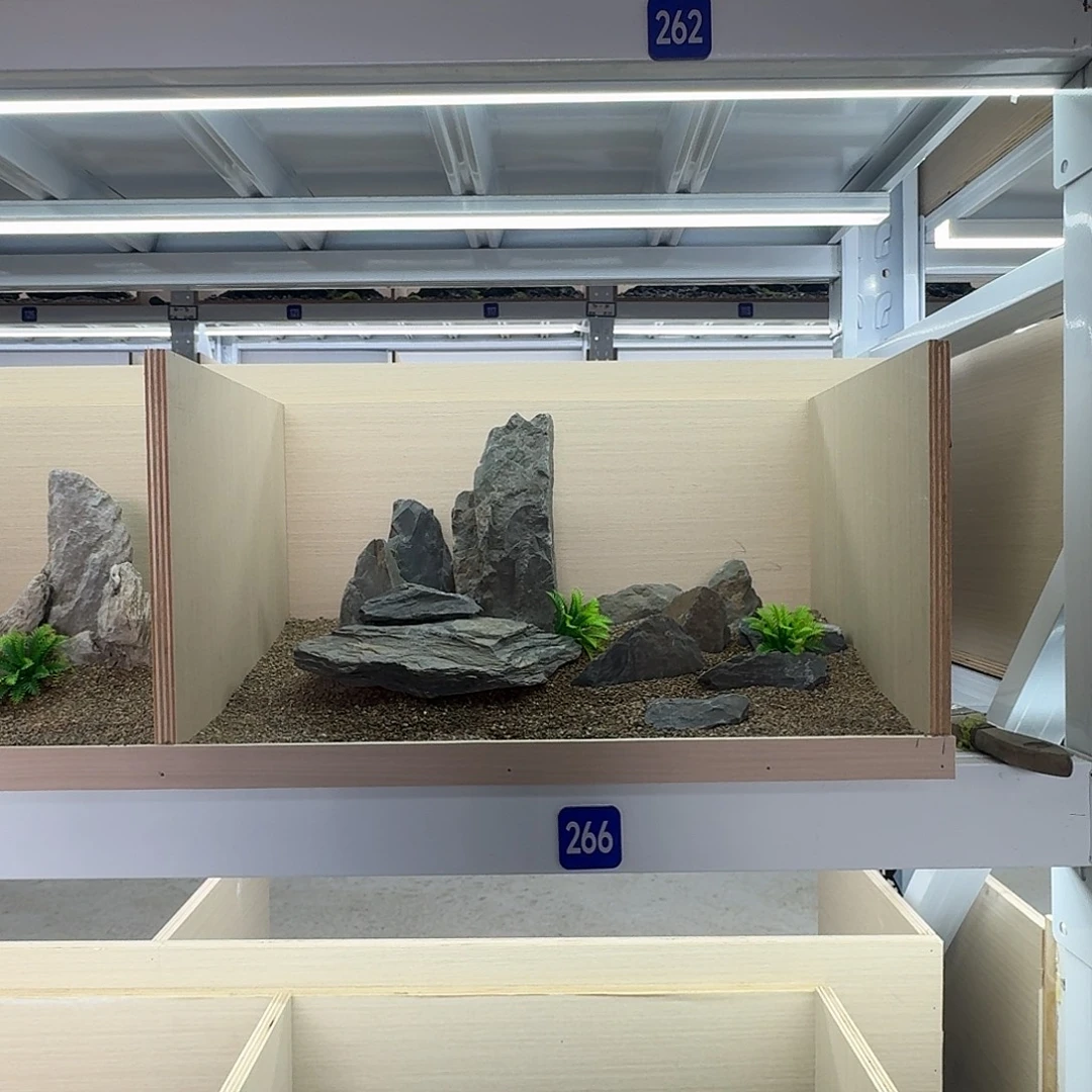 266 号造景带底沙10斤