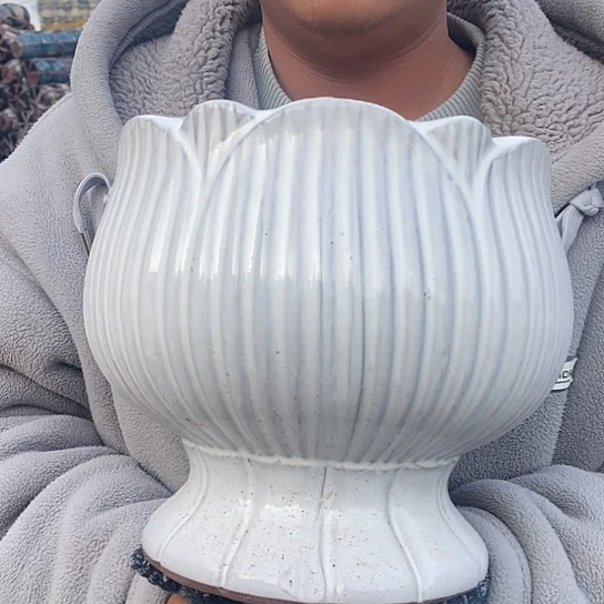 瑕疵颜色不挑瑕疵