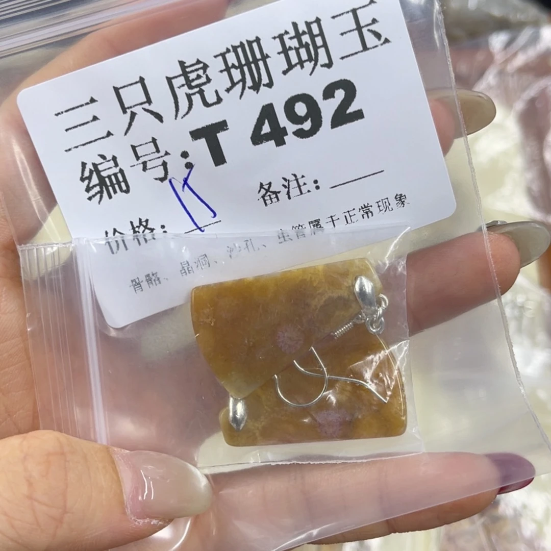 暖***暖硅化珊瑚（珊瑚玉）h未镶嵌