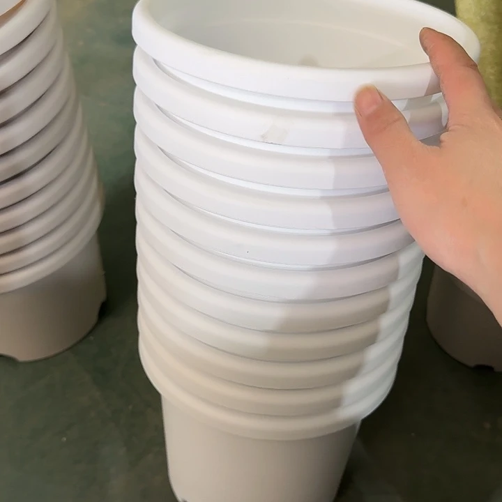 微瑕3#白色10个无托