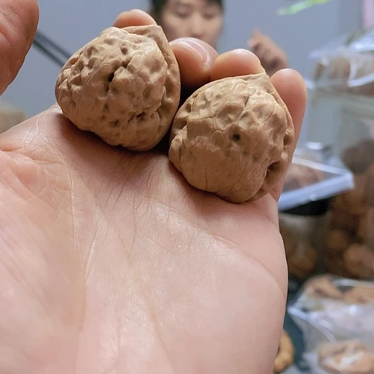【闪购商品】把件文玩核桃33 9糖三角古蝉