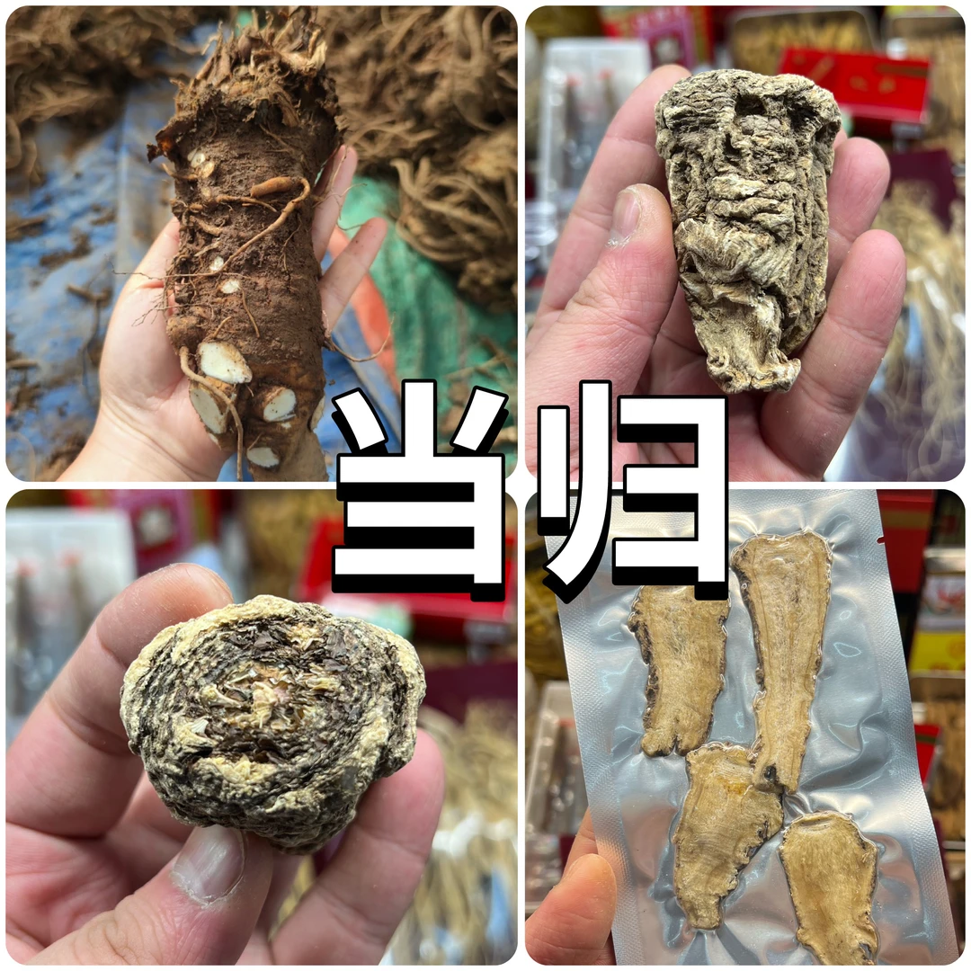 甘肃岷县当归头 | 当归片 | 手工精选切片 | 香气浓郁油性足
