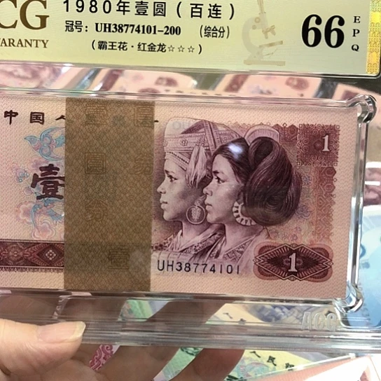 38774101百连红金龙—————