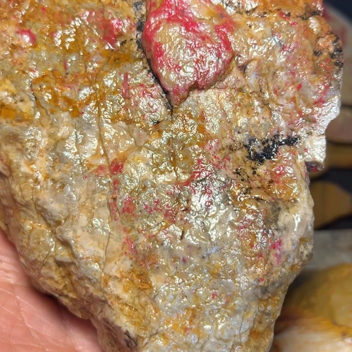 蒋***哥昌化石国石昌化石