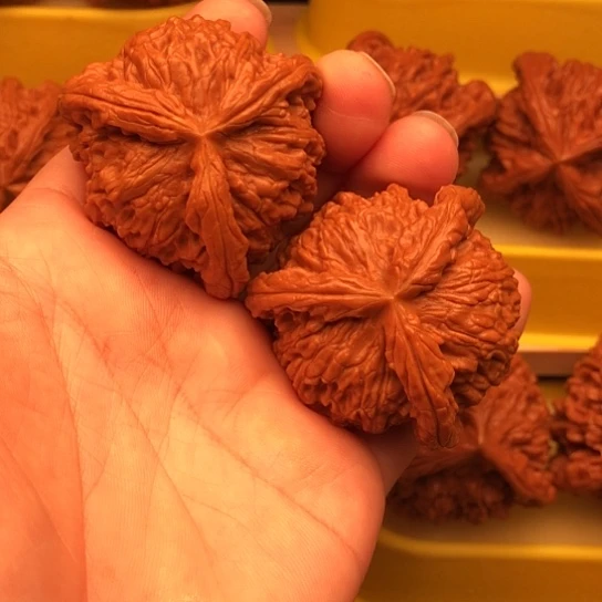 老***头核桃核桃核桃核桃核桃