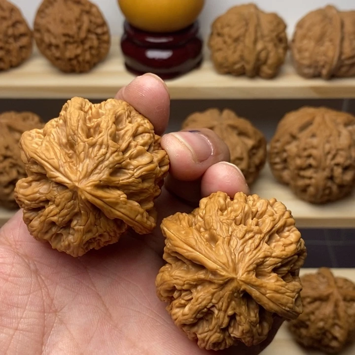 把件核桃45尺大粗筋