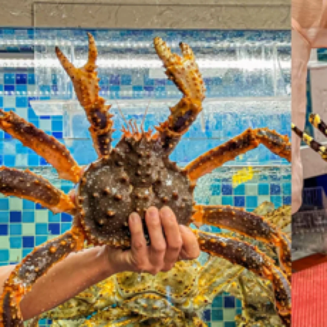 【东胜同城送】帝王蟹