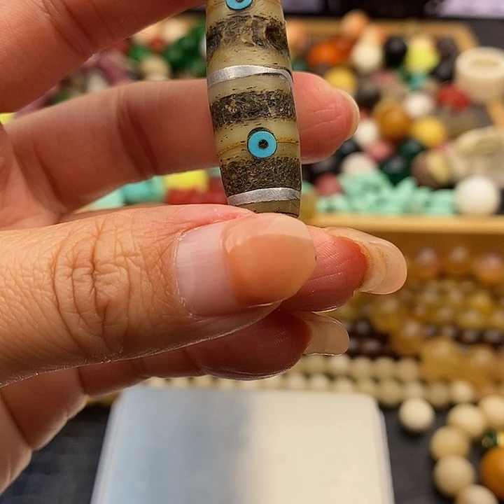 大果紫檀（缅甸花梨）