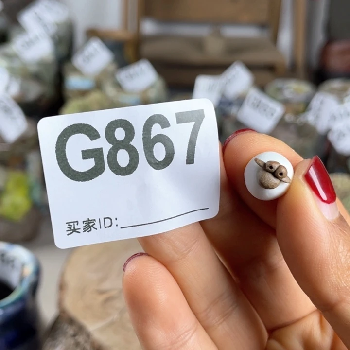 紫砂花盆飞*   陶瓷鼻屎羊