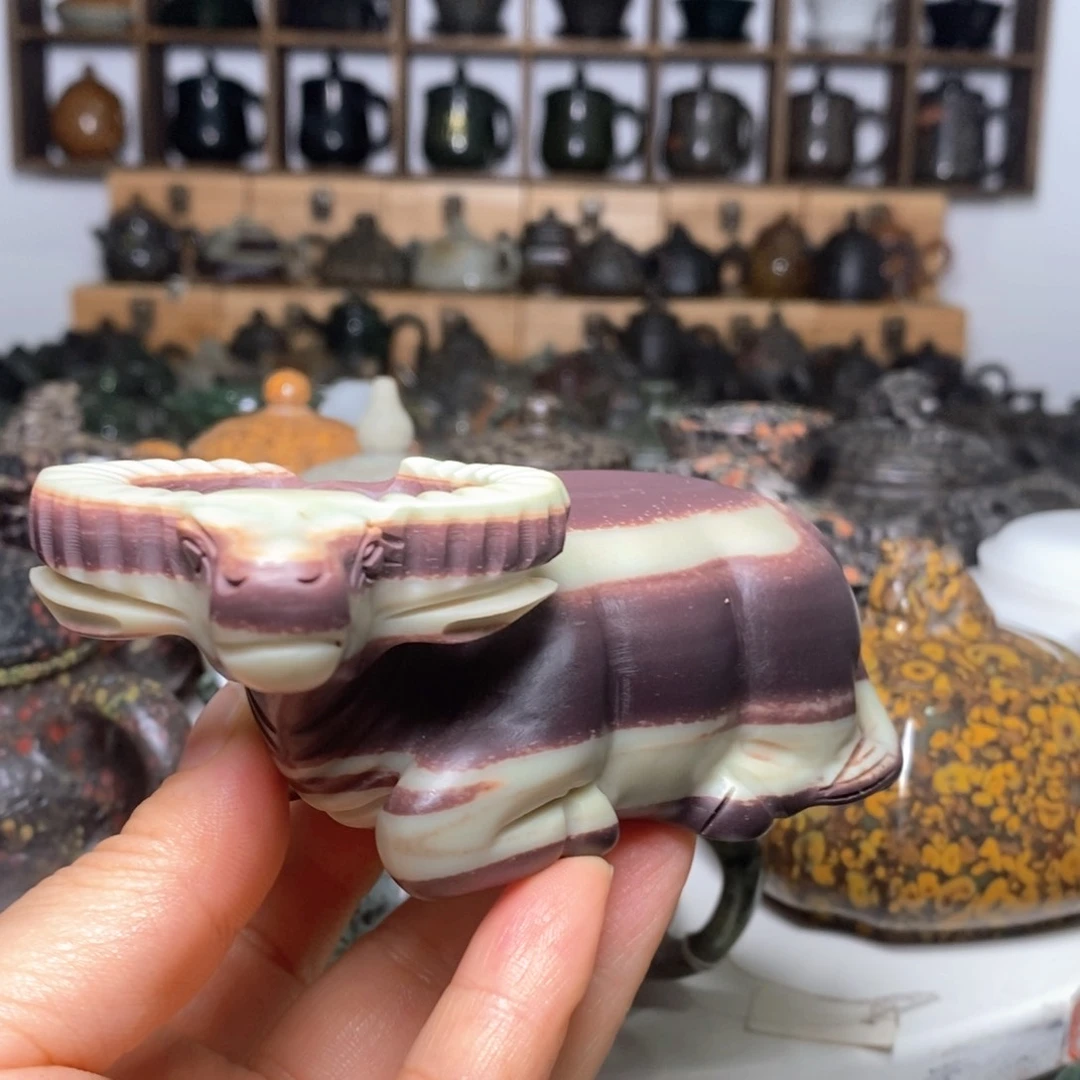 紫袍玉福利款牛气冲天