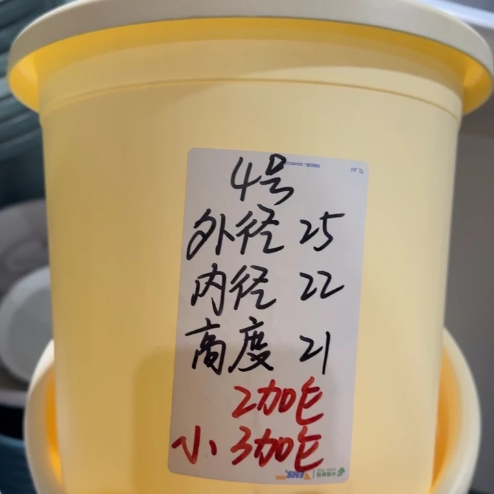 微瑕4号无托米黄8个