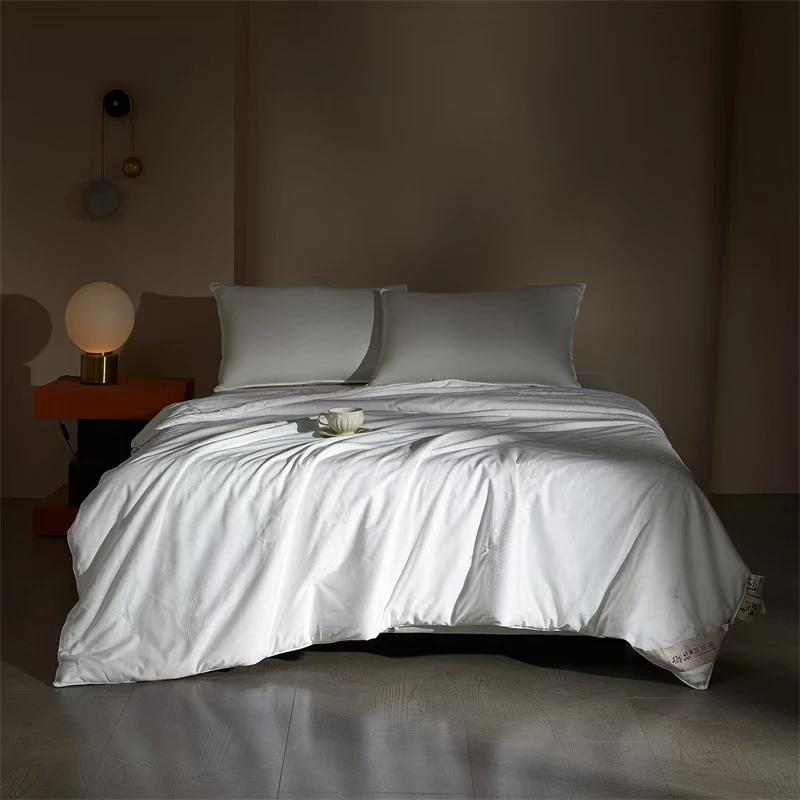 【WE专属】天蚕丝被1