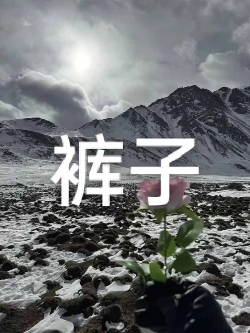 2025男士新款速干户外小太阳T9短裤【宁】