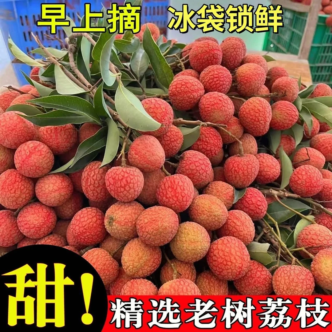 《顺丰冷链》正宗冰糖黑叶荔枝新鲜福建乌叶整箱5斤坏果包赔