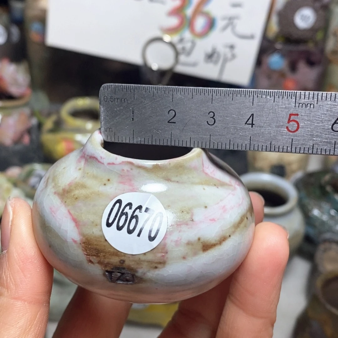 花盆拍3送一个小礼物