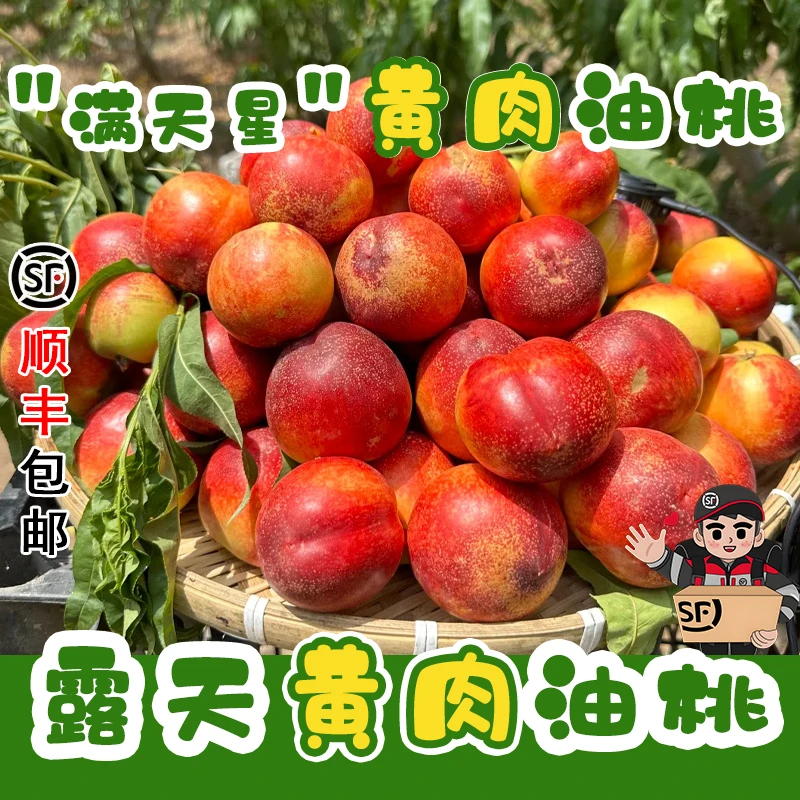 【顺丰】黄心油桃新鲜水果当季脆现摘正宗黄肉满天星麻子脸蜜桃子