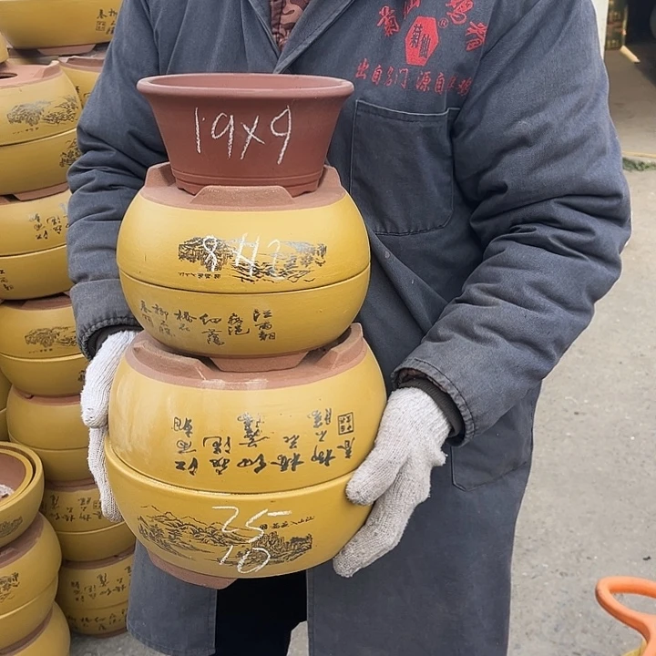 紫砂紫砂花盆和小盆栽