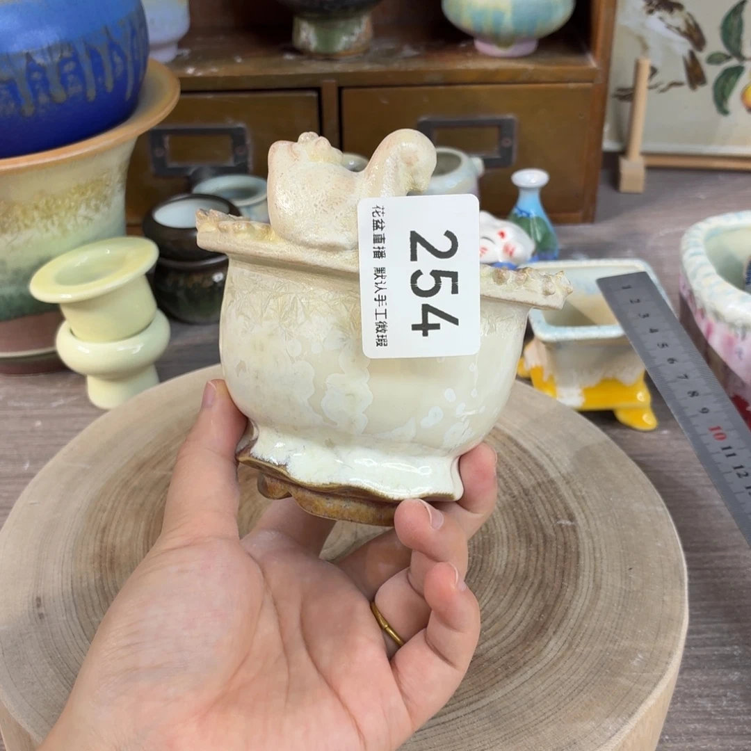 花盆花盆花盆花盆
