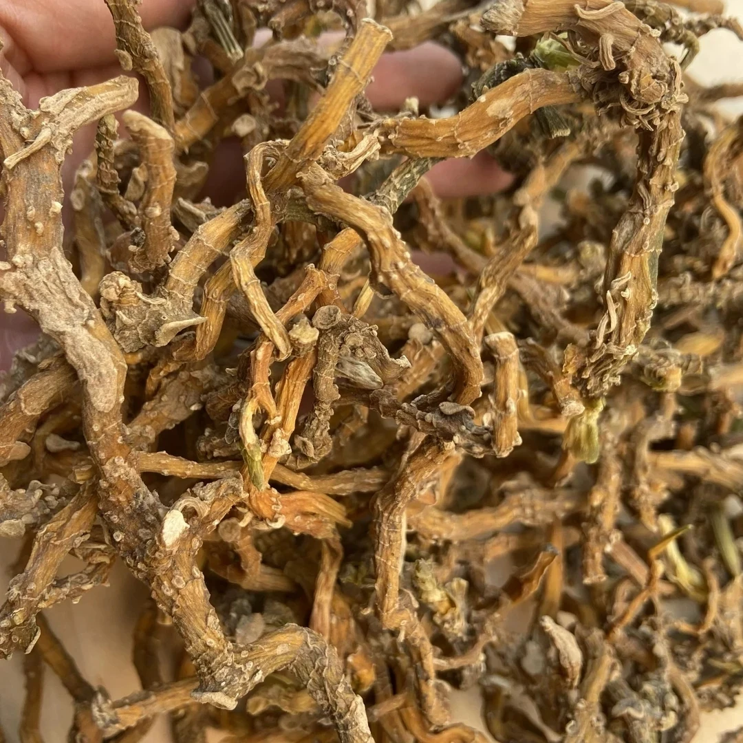 云南山货~盘龙参~卤蛋甄选可配西洋参