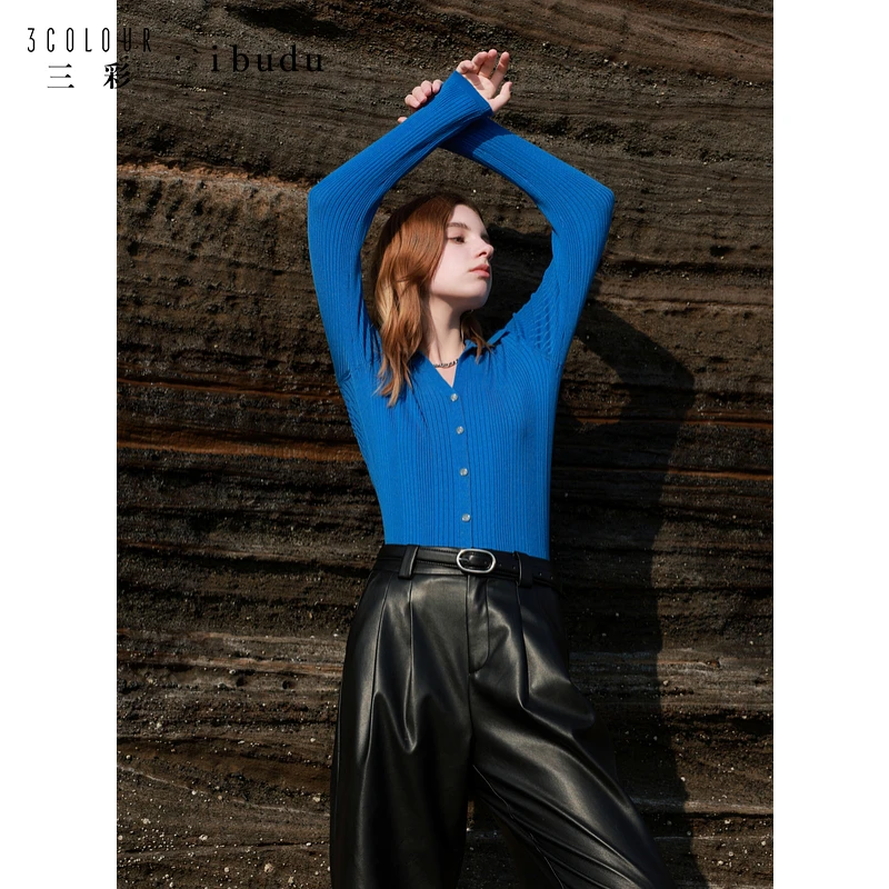 三彩ibudu2025春季新款克莱茵蓝坑条修身针织衫Polo领毛衫女