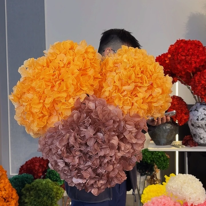 漂色永生大叶绣球3枝，2枝香槟2奶茶1