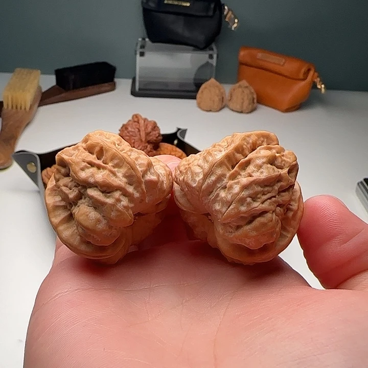 s***l39-38-32蛙蟾型好C1号