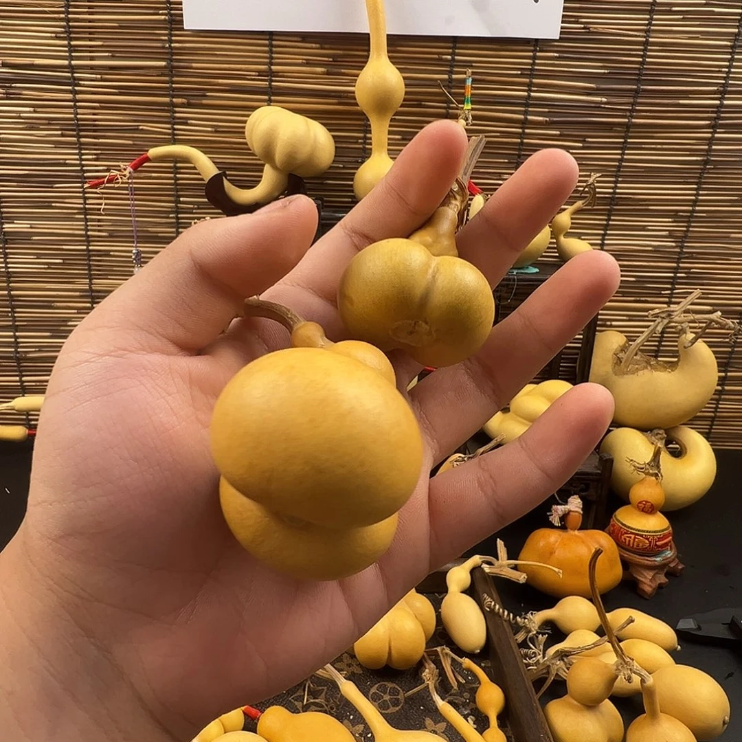 金***子葫芦葫芦葫芦葫芦葫芦葫芦