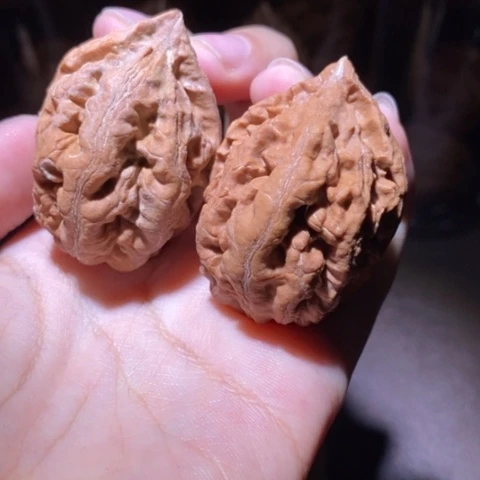 把件文玩核桃东北野生楸子小园 192