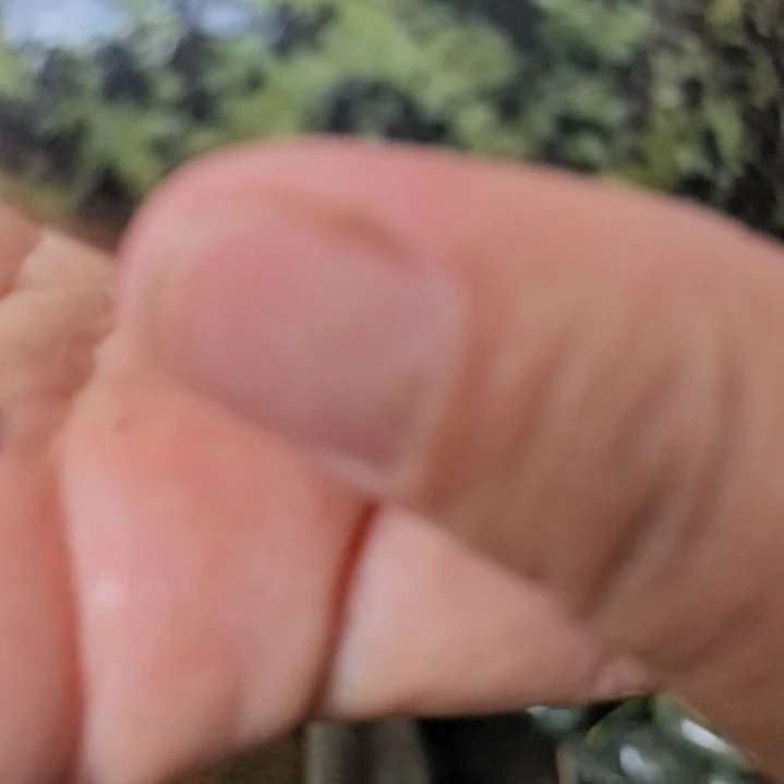 睛***理有机玻璃藏玉药王石原石手把件一个原石