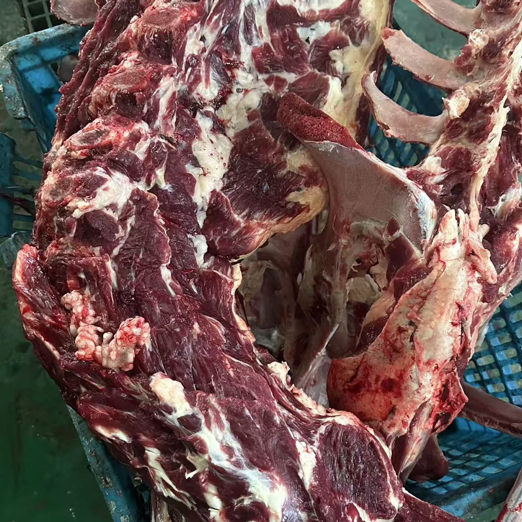 新鲜现宰黄牛蝎子牛脖骨包邮可红烧熬汤