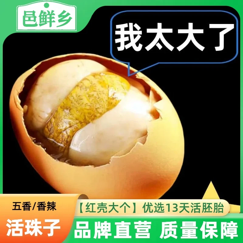『邑鲜乡』即食香辣五香13天鸡蛋活珠子鸡胚胎蛋食品喜蛋