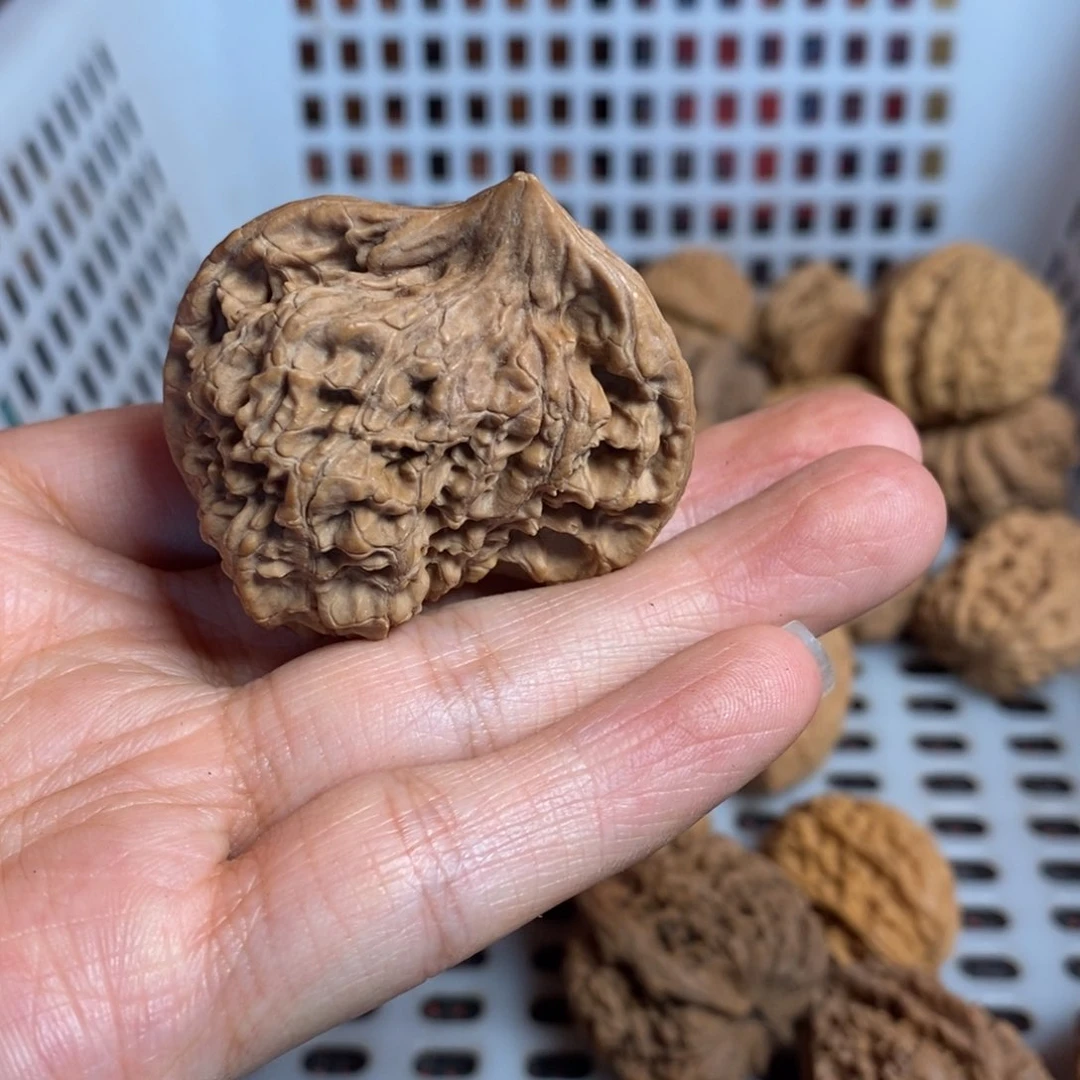 文玩核桃把件有*年