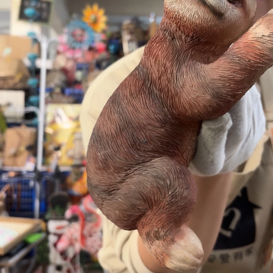 核桃木/黑胡桃（胡桃木）