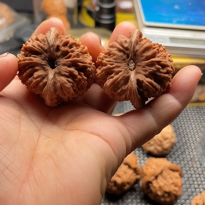 把件桃核全品137边43肚43